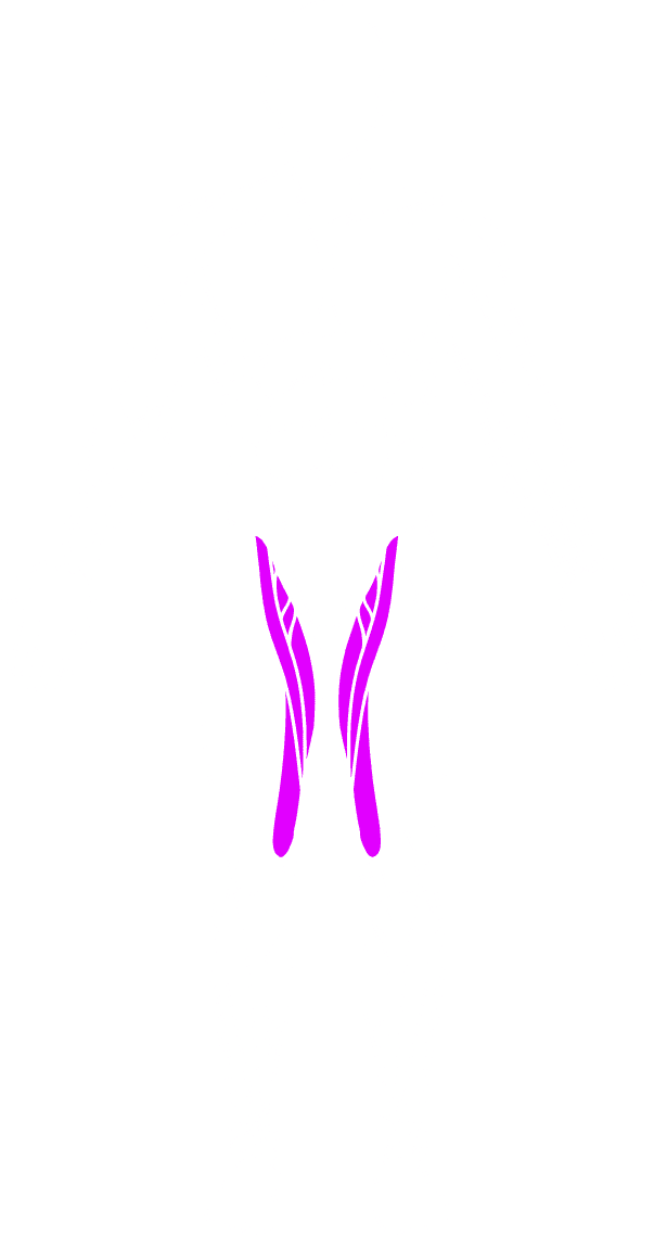 Adduktorler