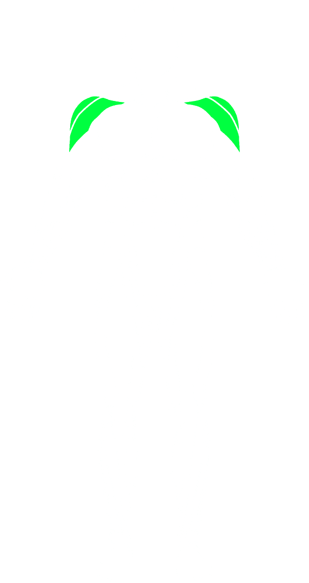 Omuzlar